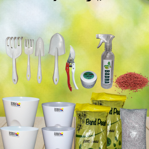 مجموعة الصيف