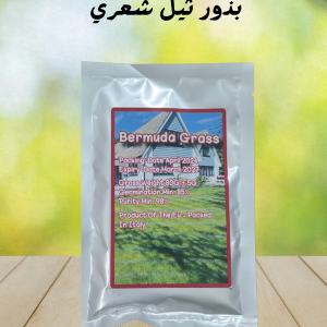 بذور ثيل شعري (برمودا)